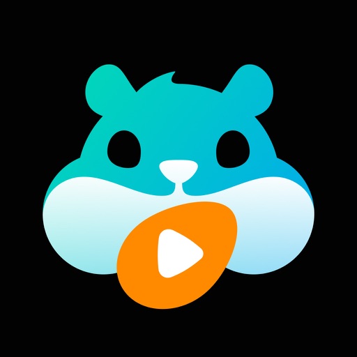 HamHub