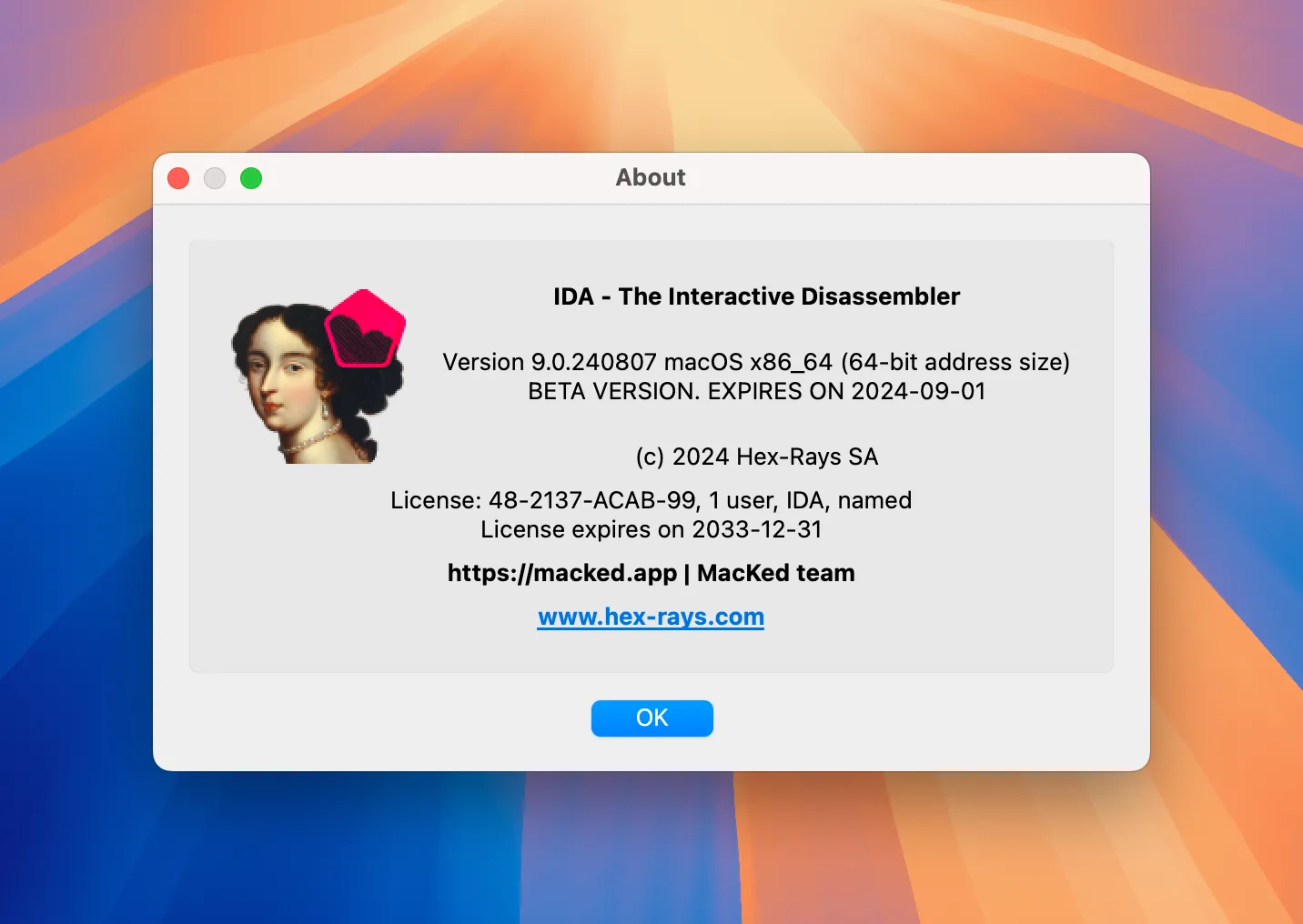 IDA Professional 9