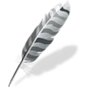 Wing Pro